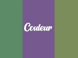 Comment changer la couleur de son pseudo sur Twitch