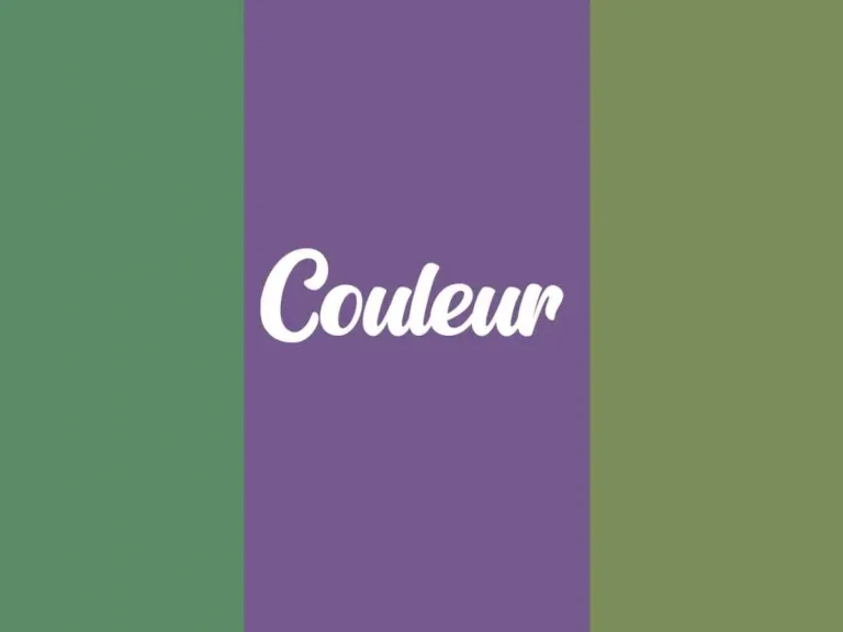 Comment changer la couleur de son pseudo sur Twitch